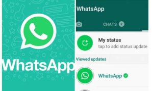 Cara Download Video Status WA