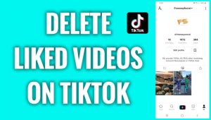 Cara Menghapus Video yang Disukai di TikTok
