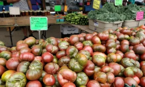 Farmers Market at Grand Army Plaza