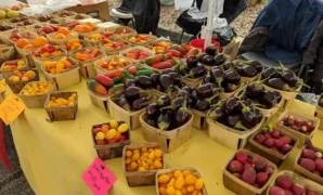 Farmers Market at Lakewood Ranch