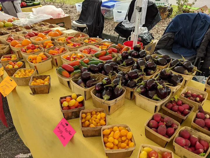 Farmers Market at Lakewood Ranch