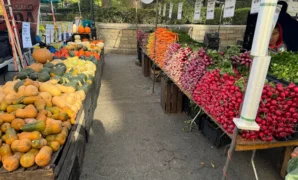 Farmers Market at Union Square