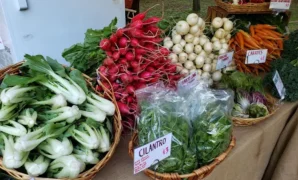 Farmers Market in Atlanta