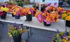 Farmers Market in Baltimore