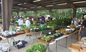 Farmers Market in Charlotte