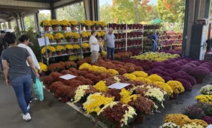 Farmers Market in Raleigh