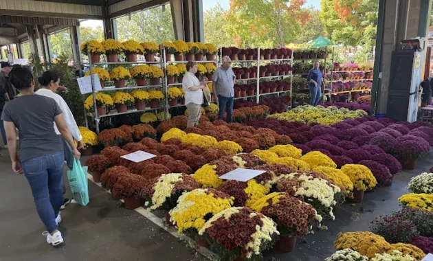 Farmers Market in Raleigh