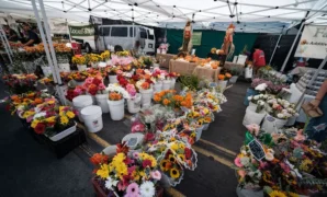 Farmers Market in San Diego