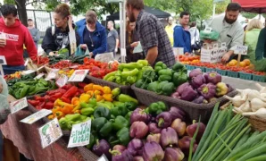 Farmers Market in Washington DC