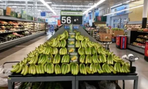 Grocery Stores in Blue Ridge GA
