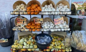 Grocery Store in Colorado