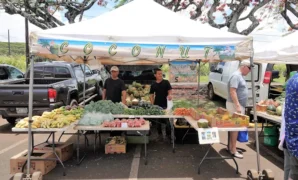 Farmers Market in Kauai