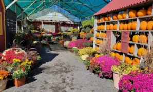 Farmers Market in Lancaster PA