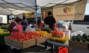 Farmers Market in Long Beach