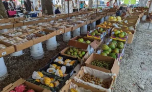 Farmers Market in Miami