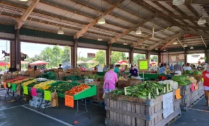 Farmers Market in North Carolina