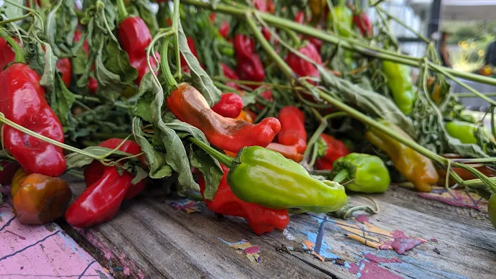 Farmers Market in Oklahoma City