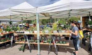 Farmers Market in Phoenix Arizona