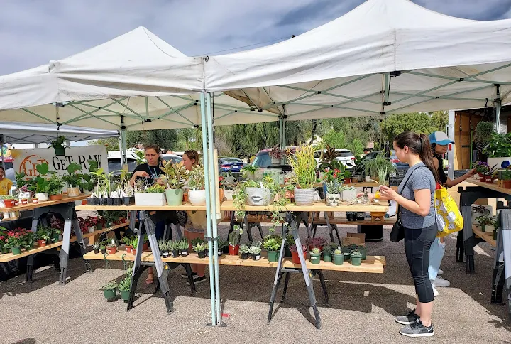Farmers Market in Phoenix Arizona