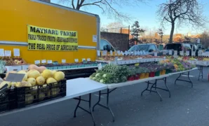 Farmers Market in Queens