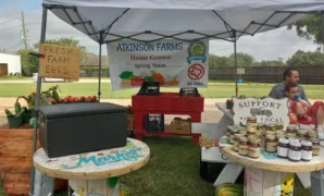 Farmers Market in Richmond