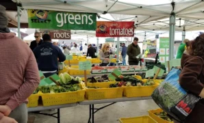 Farmers Market in Scottsdale