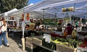 Farmers Market in Seattle
